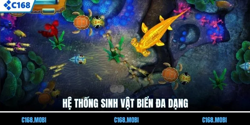 Hệ thống sinh vật biển đa dạng
